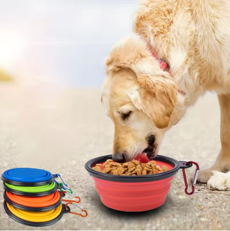 Collapsible Travel Dog Bowl – Portable & Lightweight